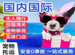 汉中空运国际宠物托运 【国